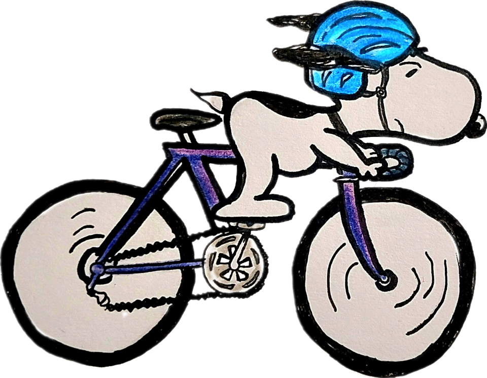 Der Windfahrer - (c) Amelie Hillebrand